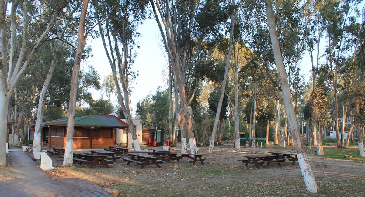Mongolian yurts campsite in Cyprus