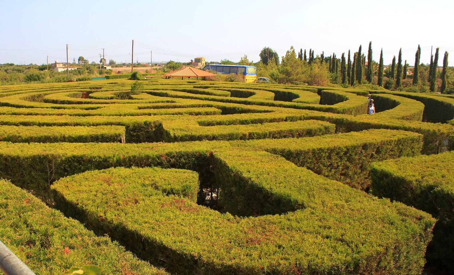 Hedge maze in Cyherbia